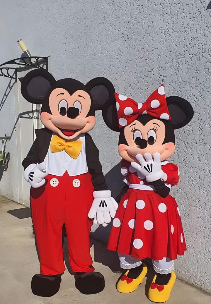 Location de costume de mascotte Oyonnax